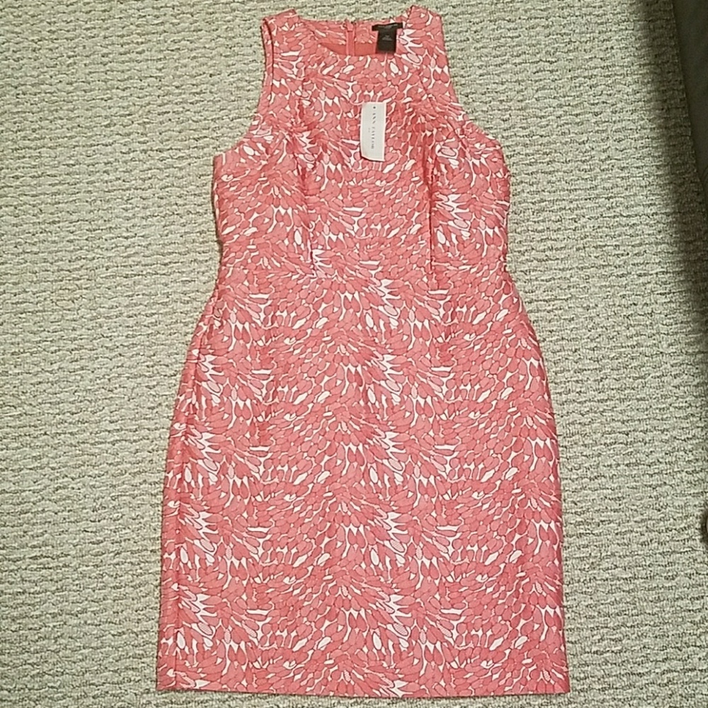 NWT Ann Taylor Pink Dress 00p